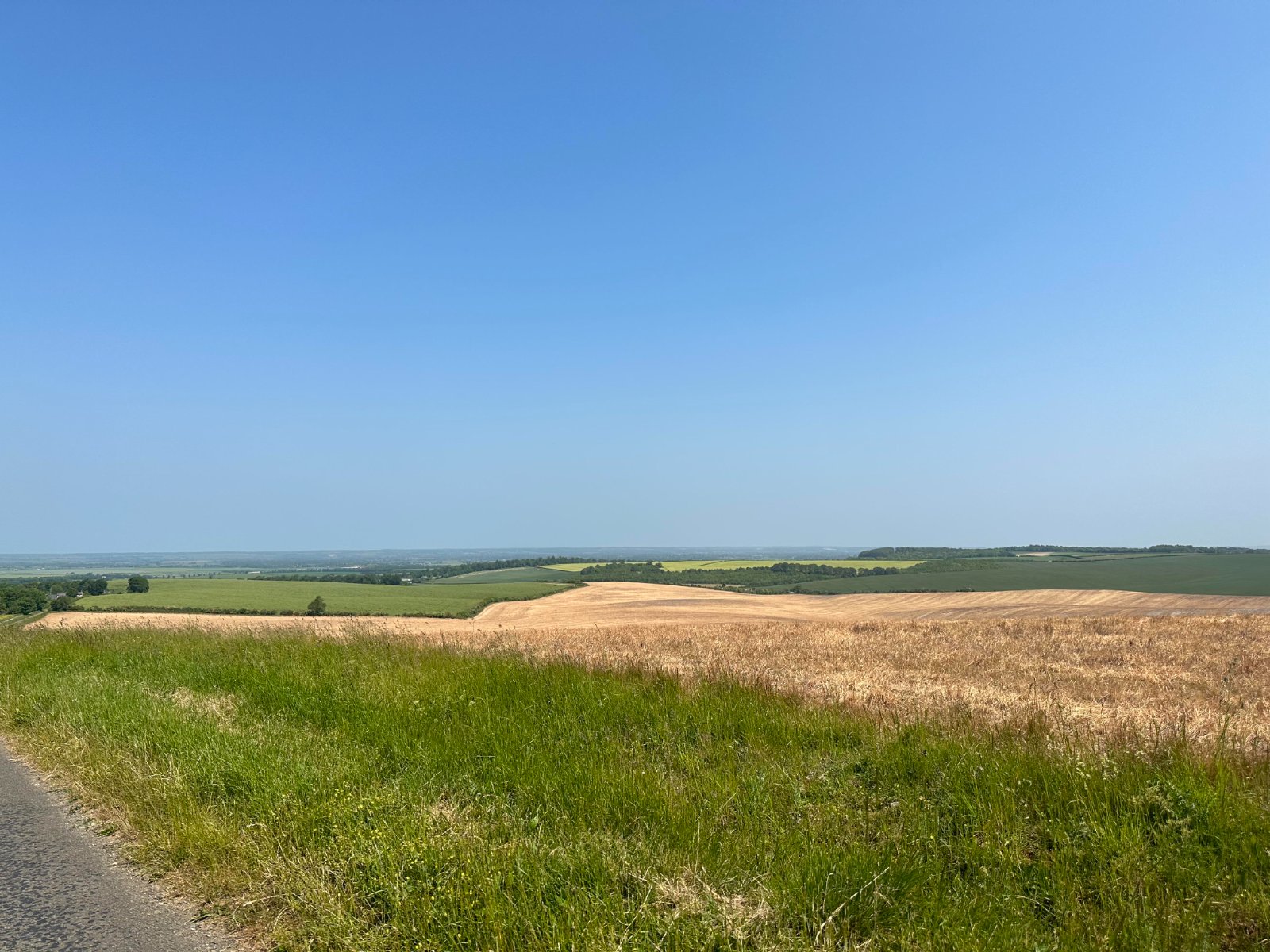 Open Cambridgeshire farmland under a clear sky